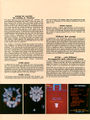 Thumbnail for version as of 13:59, 18 April 2008