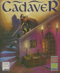 Cadaver box scan