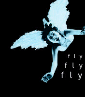 Fly