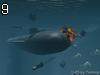 Das boot u 69 by Tommip , 224.191 bytes , 800x600