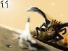The takeoff by Morealles , 378.765 bytes, 800x600