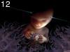 Zende by Nam nam , 325.109 bytes , 800x600