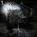 25 05 2000 by ae , 543.043 bytes , 600x600