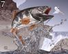 Fishfood by Fiver , 69.874 bytes , 720x566