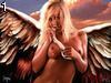 Angel particles by Louie & danny , 785.149 bytes , 800x600