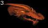 Dragonhead 1 by Ward , 259.764 bytes , 800x472