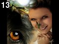 Animal reign 2 by Made , 310.902 bytes , 640x480