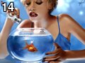 Fishy by Made , 383.423 bytes , 640x480