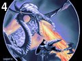 Dragon fire by Noogman , 29.137 bytes , 320x256