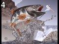 Fishfood by Fiver , 69.822 bytes , 720x566