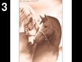 Horses by Blackhand , 31.544 bytes , 512x512