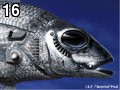 Fish by Joe , 180.893 bytes, 640x480