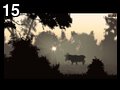 Deep forest by Newt , 33.973 bytes , 640x512