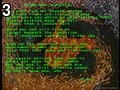 Champagne by Fiver , 43.430 bytes , 368x283