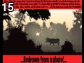 Deep forest by Newt , 33.618 bytes , 640x512