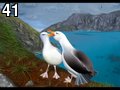 Tu pues du bec by Sacri , 467.989 bytes, 640x480