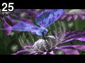 Butterfly by Vertex , 502.183 bytes , 800x432