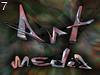 Logo art media by Lazur , 4 steps , 477.154 bytes , 640x480