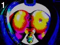 Disfigurated face of the freedom by Clown , 5.689 bytes , 256x192